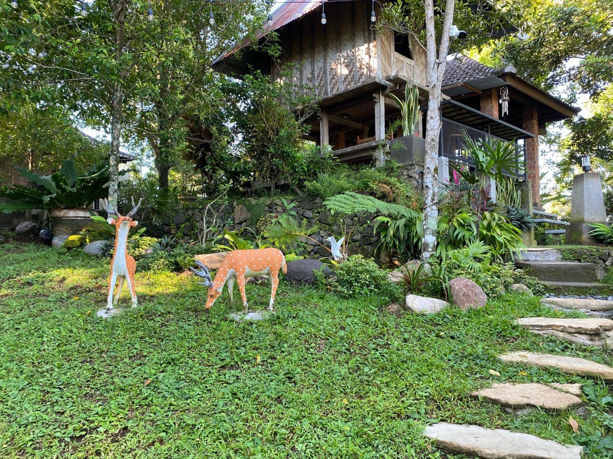 Mayong Bali Villa And Hostel มุนดุก ภายนอก รูปภาพ