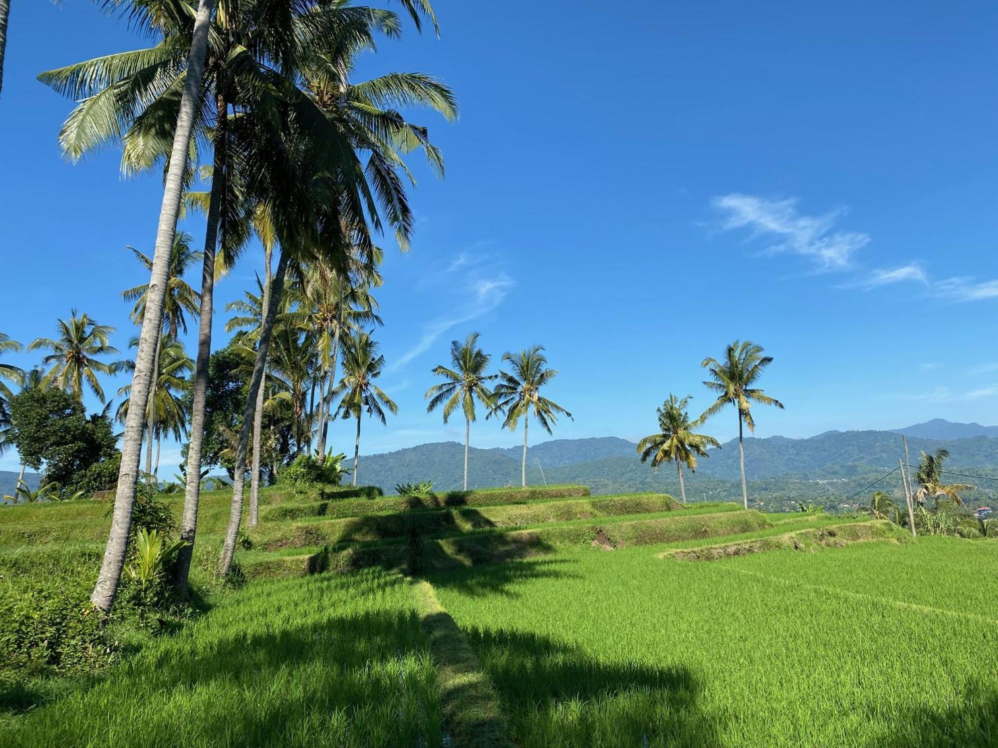 Mayong Bali Villa And Hostel มุนดุก ภายนอก รูปภาพ